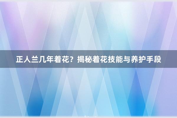 正人兰几年着花？揭秘着花技能与养护手段